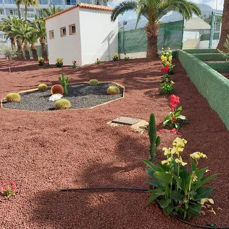 Vacacional Playa Playa de las Américas